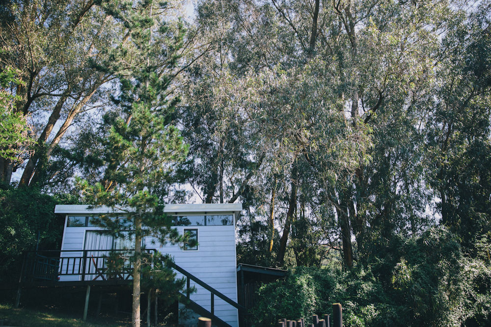 L'Auberge Country Hideaway 伊丽莎白港 外观 照片