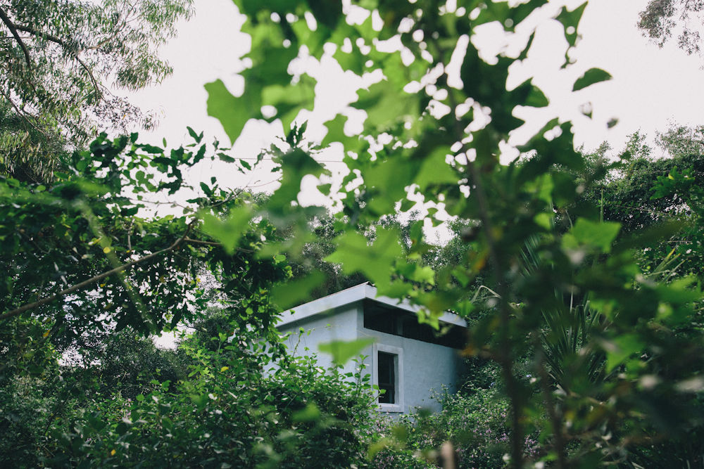 L'Auberge Country Hideaway 伊丽莎白港 外观 照片