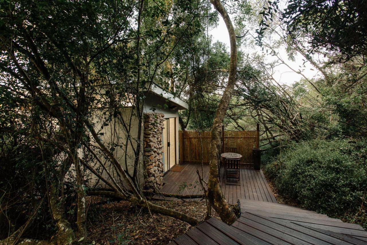 L'Auberge Country Hideaway 伊丽莎白港 外观 照片