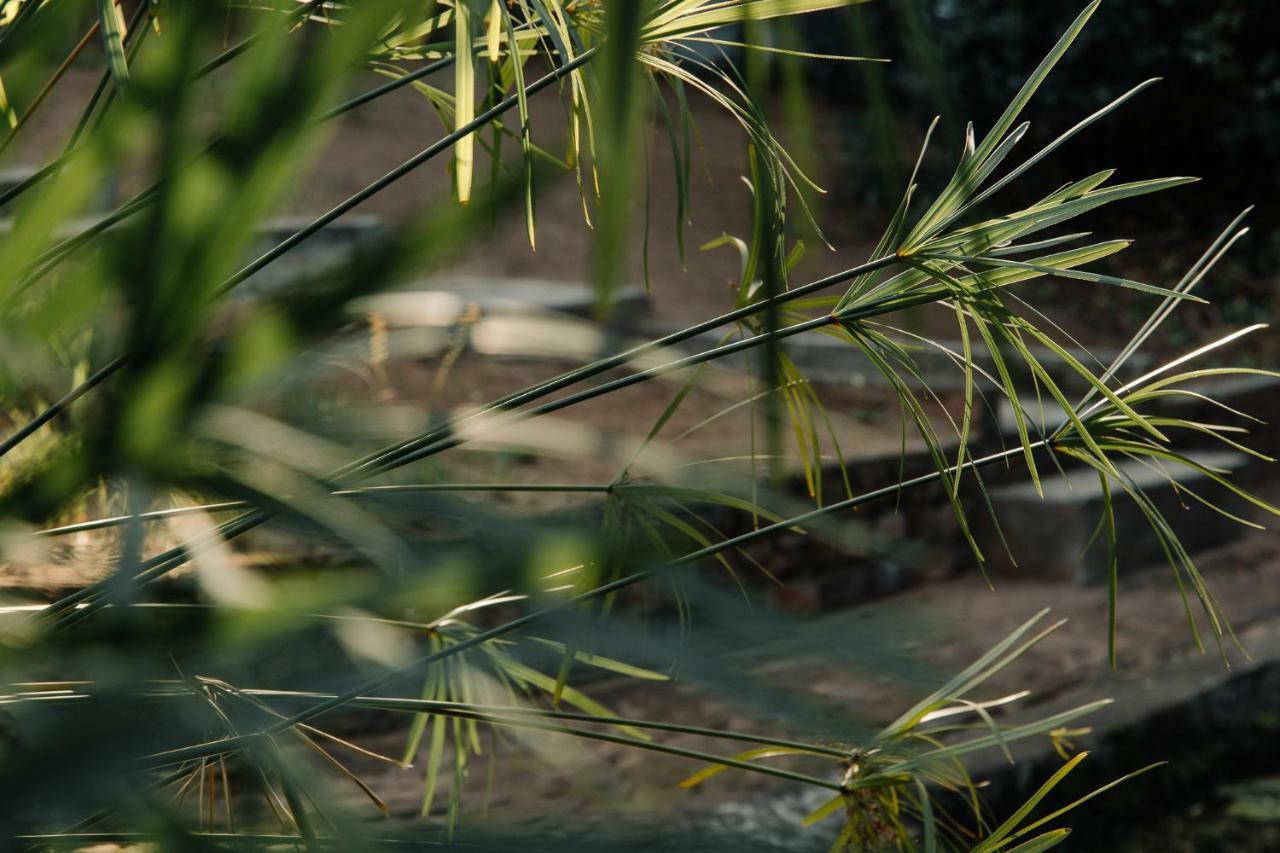 L'Auberge Country Hideaway 伊丽莎白港 外观 照片