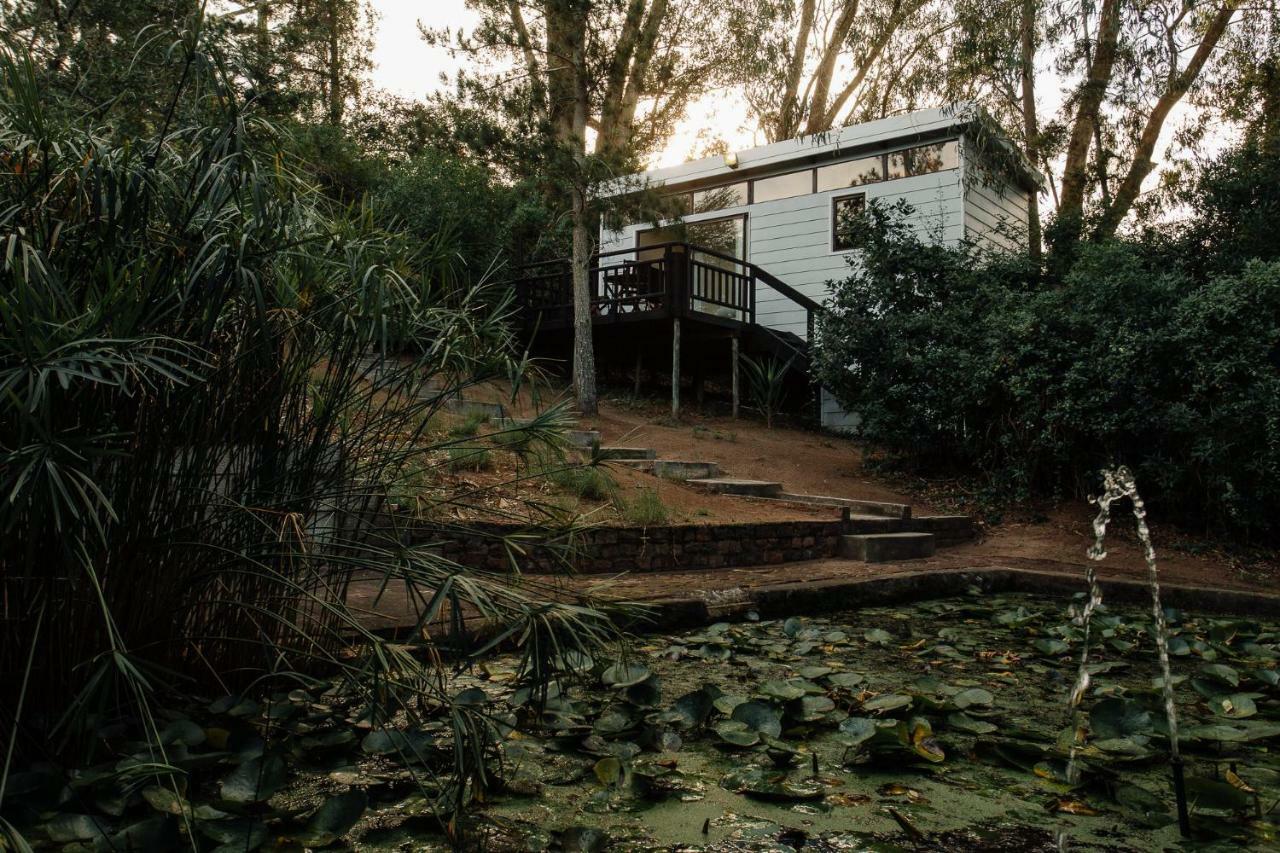 L'Auberge Country Hideaway 伊丽莎白港 外观 照片